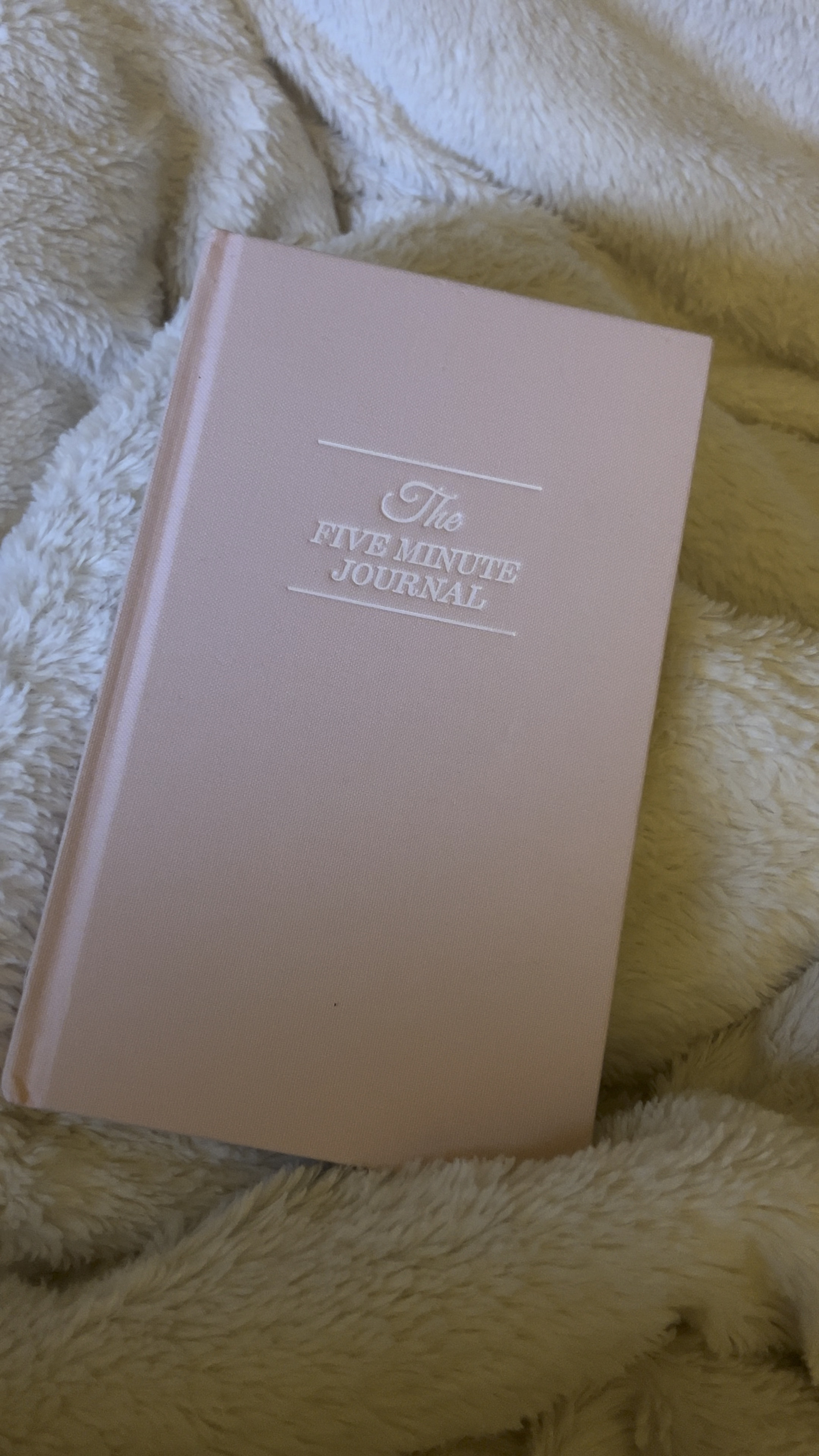 I get this journal every single year and I swear it helps my mental health SO MUCH perfect to start the new year 💫🤍

#LTKHome #LTKGiftGuide #LTKBeauty