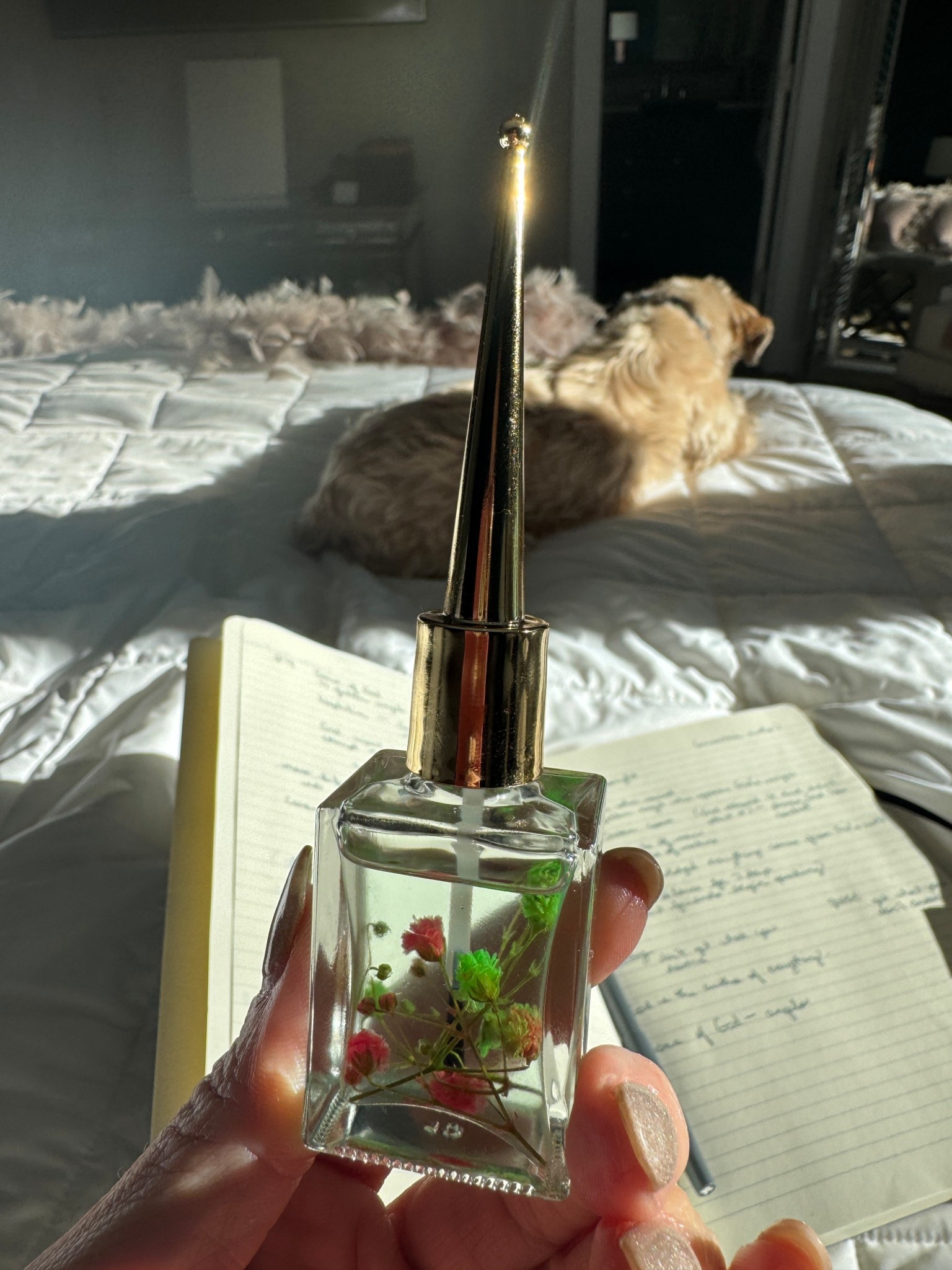 Love this cuticle oil, especially during the cold weather.

#LTKBeauty #LTKmorningroutine #LTKdayinmylife