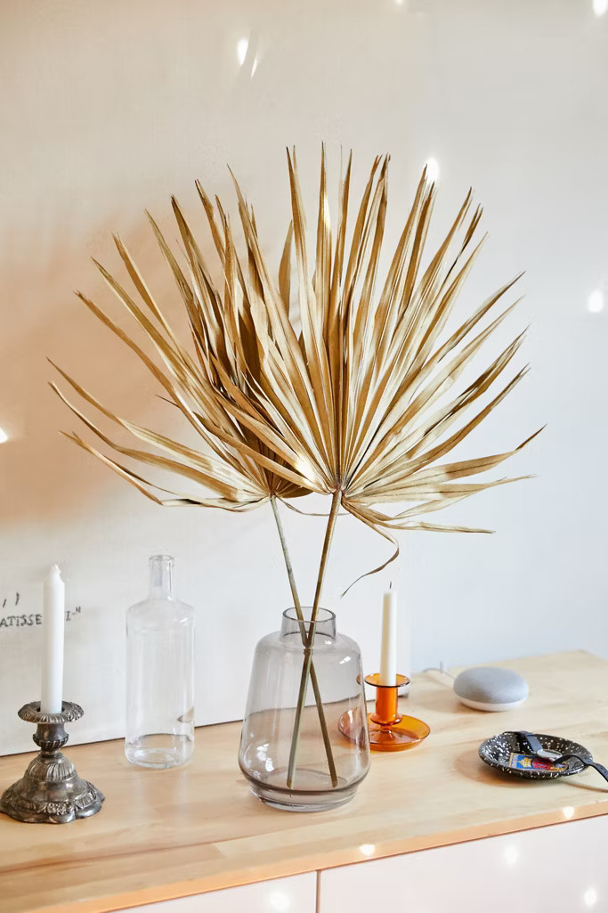 Dried Palmetto Bunch | Urban Outfitters (US and RoW)