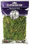 SuperMoss (25320) Forest Moss Preserved, Fresh Green, 2oz | Amazon (US)