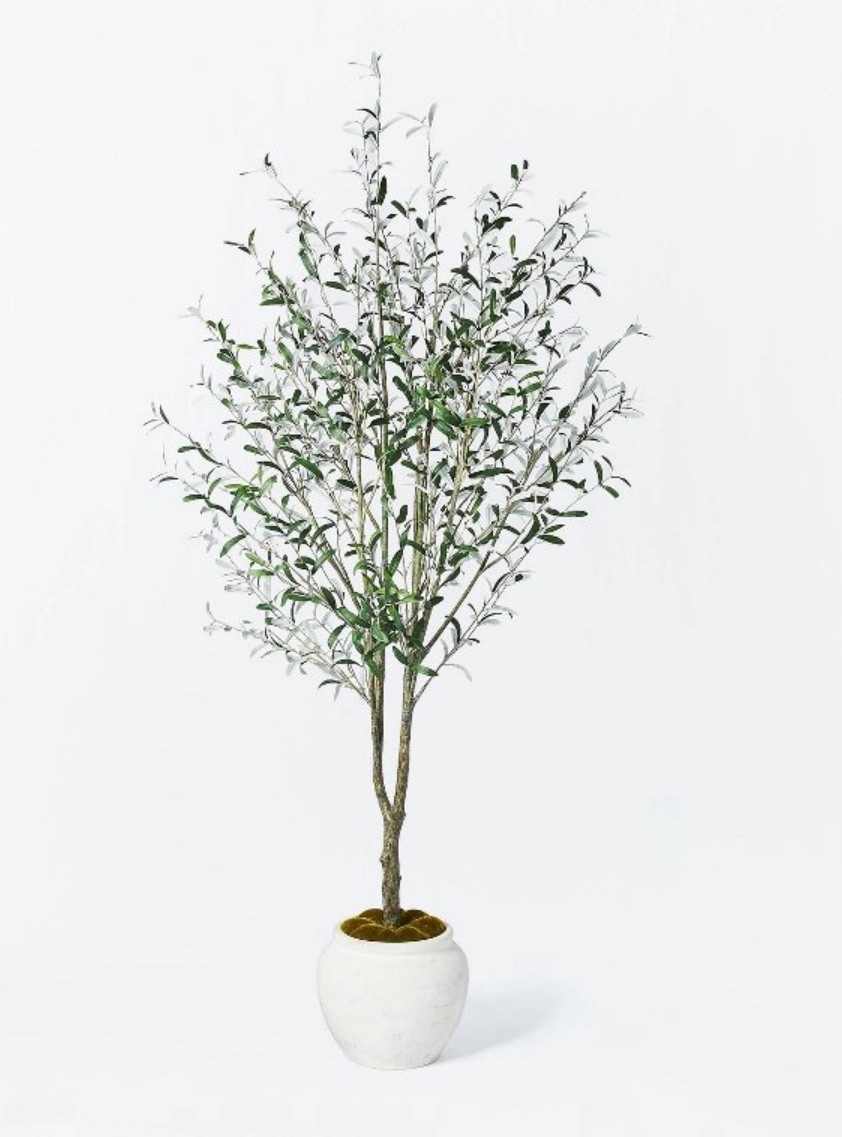 Gorgeous 93” potted Olive Tree by Studio McGee for 🎯 on sale for $175 🙌

#LTKSaleAlert #LTKHome