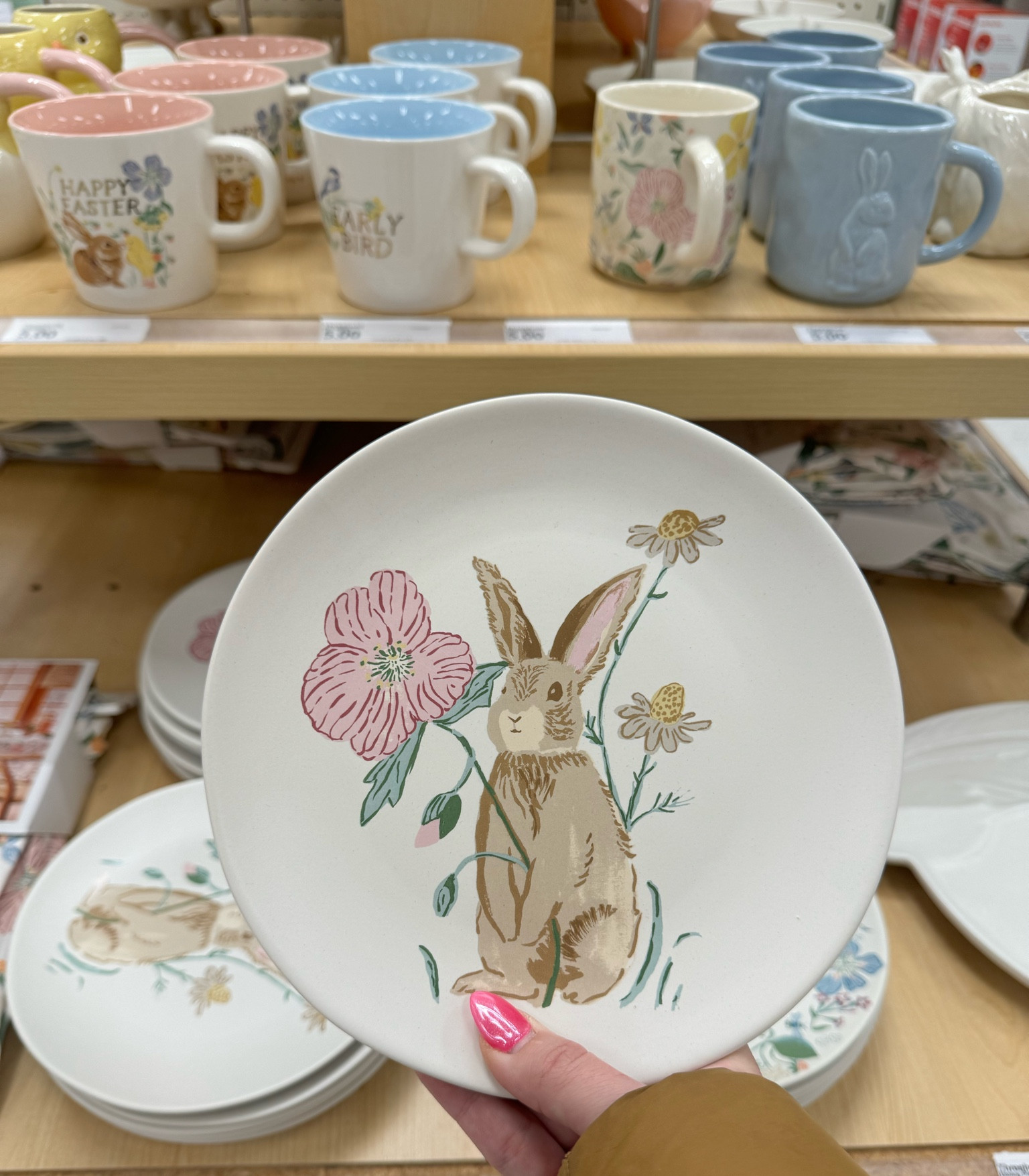 Love the bunny plates for Easter this year at target 

#LTKSeasonal #LTKhome
