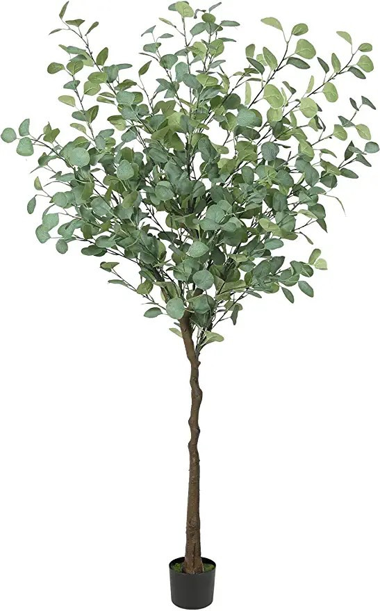 VIAGDO Artificial Eucalyptus Tree 6ft Tall 506 Silver Dollar Leaves Plants Fake Eucalyptus Stems ... | Amazon (US)