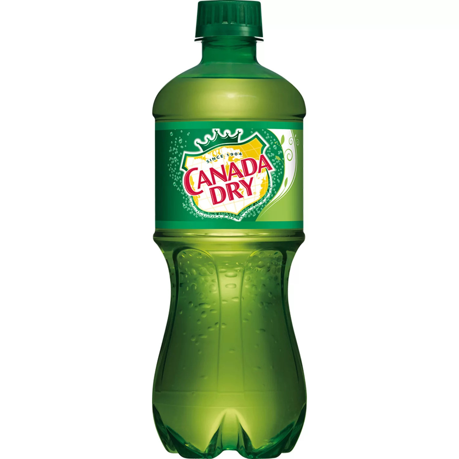 Canada Dry Ginger Ale Soda, 20 fl. oz., 24 pk. | Sam's Club