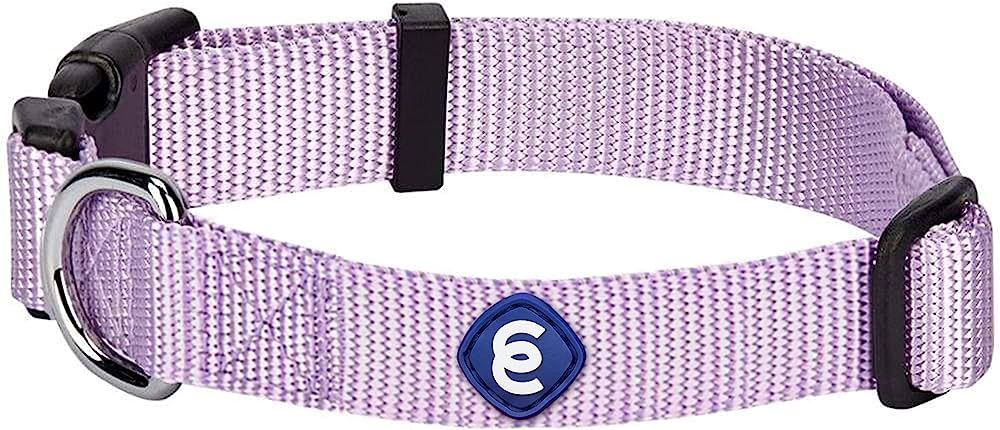 Blueberry Pet Essentials 21 Colors Classic Dog Collar, Lavender, Small, Neck 12"-16", Nylon Colla... | Amazon (US)