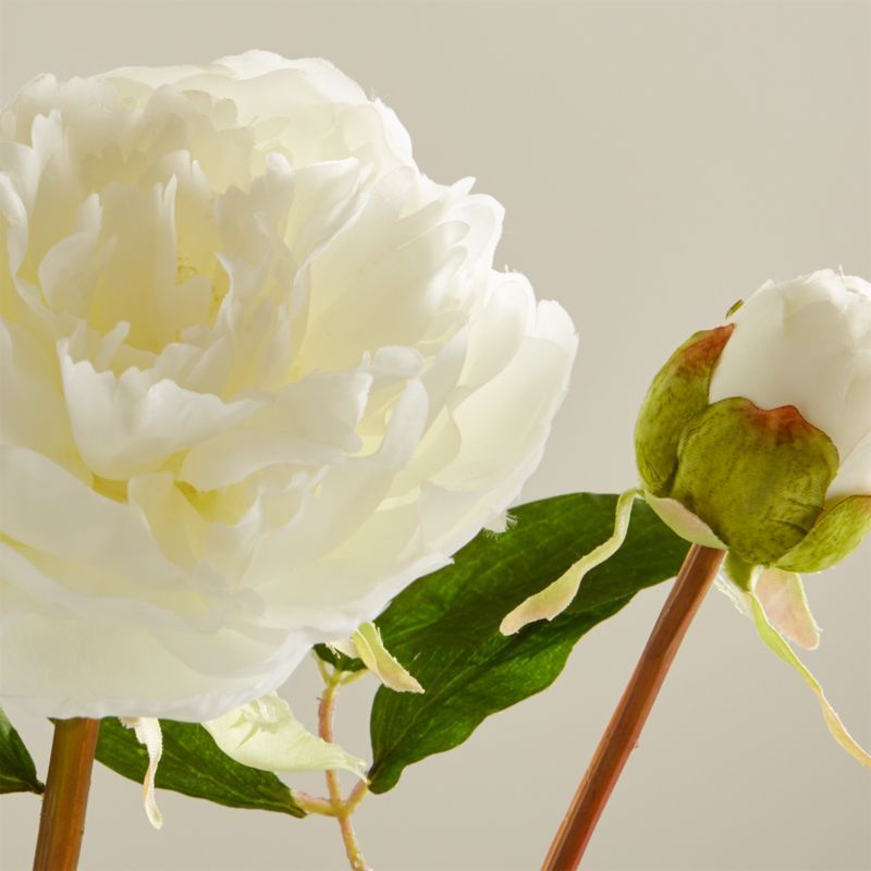 Faux White Peony + Reviews | Crate & Barrel | Crate & Barrel