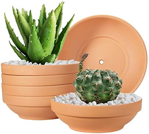 Terra Cotta Pots, Laergin 6.43 Inch Shallow Terra Cotta Clay Pots with Drain Hole Terra Cotta Plant  | Amazon (US)