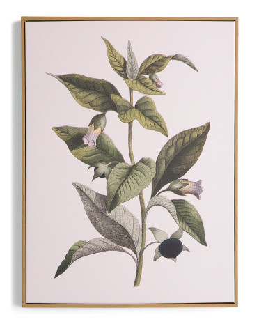 18x24 Nightshade Portrait Framed Canvas Wall Art | TJ Maxx