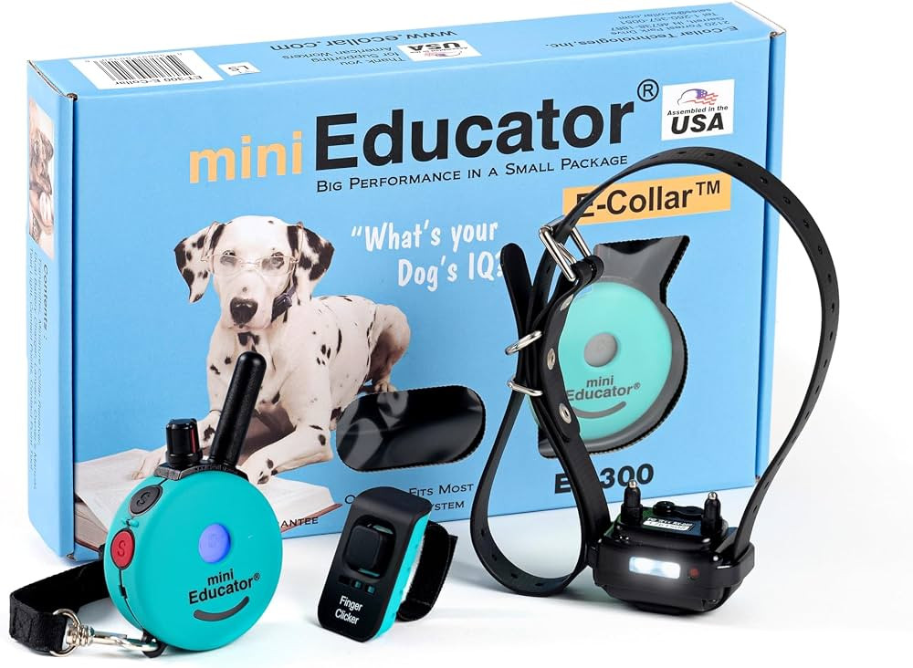 E-Collar Mini Educator ET-300 Remote Dog Training Collar, Teal     1/2 Mile Range, Waterproof & R... | Amazon (US)