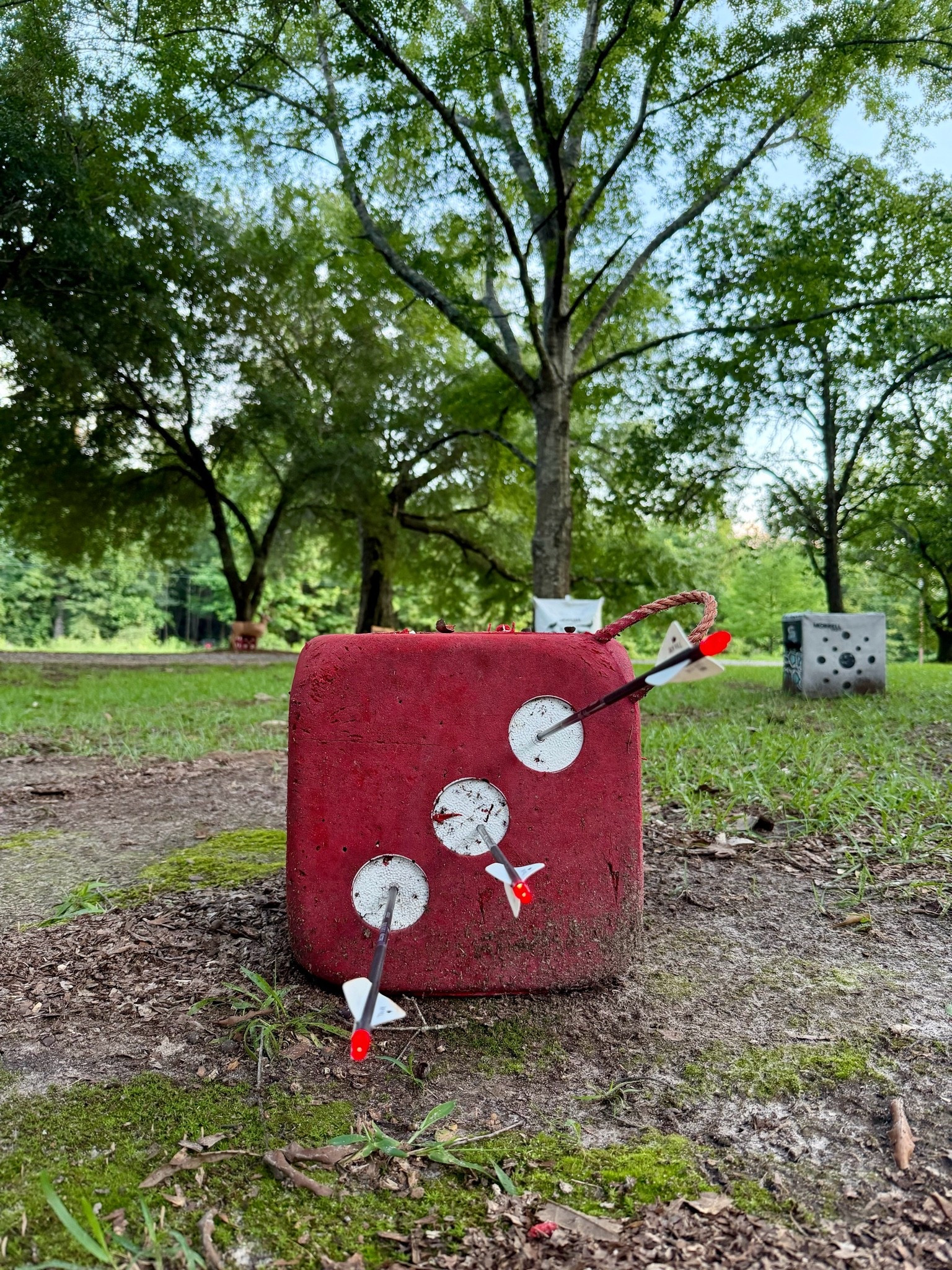 Love my high roller target! It’s great archery practice and can be made into a fun game with a partner!

#LTKdayinmylife #LTKActive #LTKMens