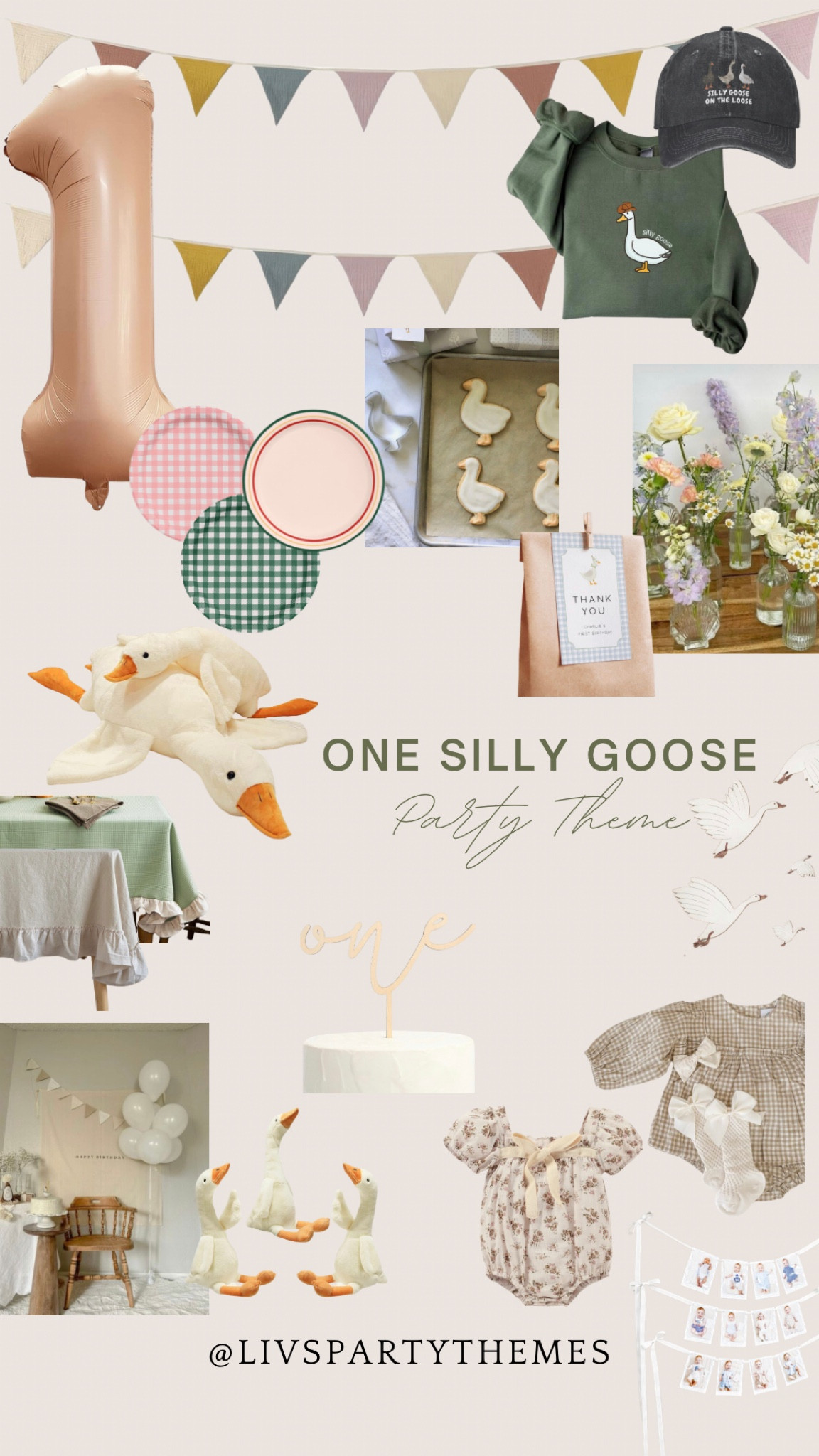One silly goose party theme

#LTKparties #LTKbaby #LTKfamily