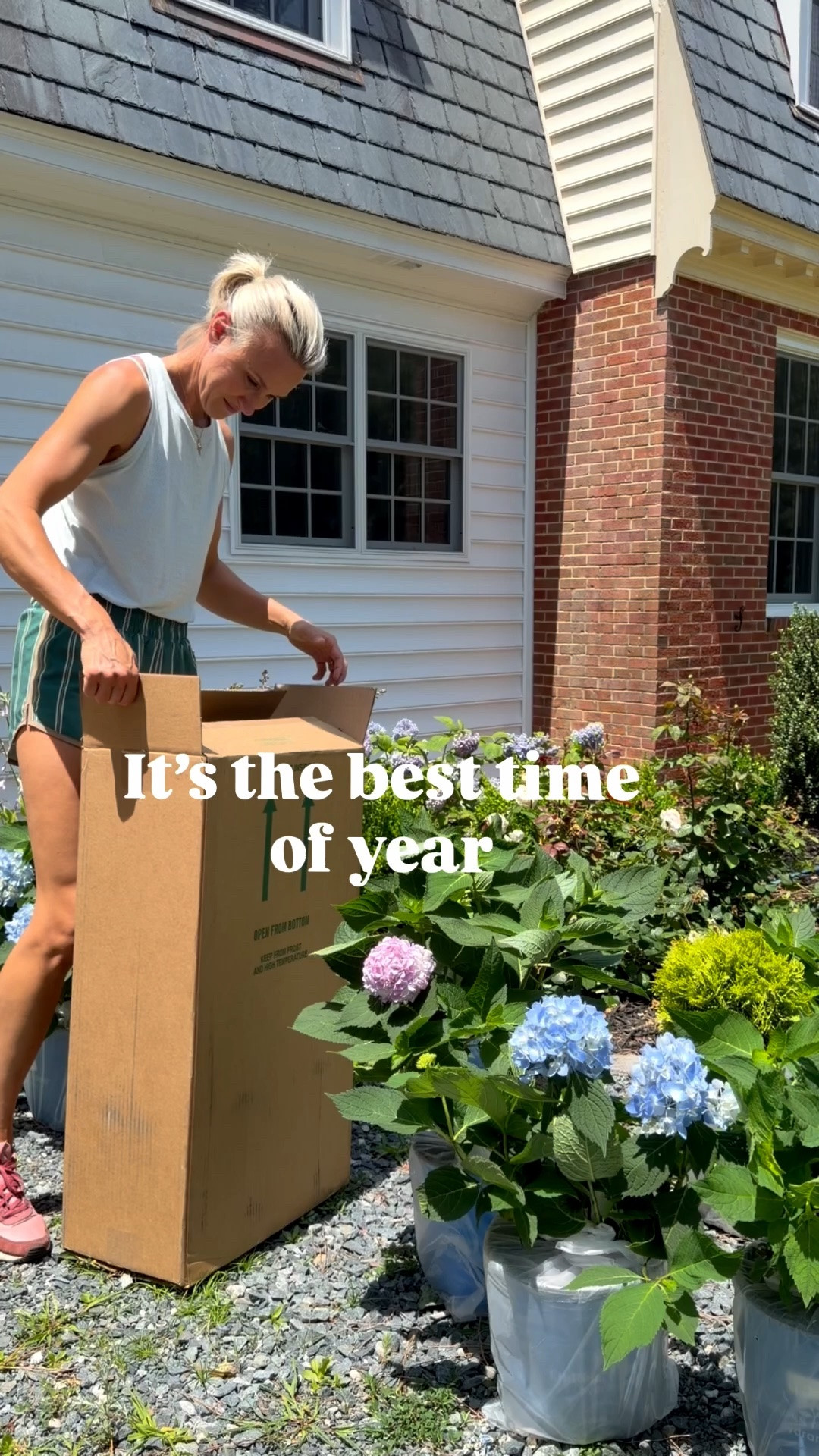 Online free delivery of live plants hydrangeas and boxwoods

#LTKmomlife #LTKSeasonal #LTKHome