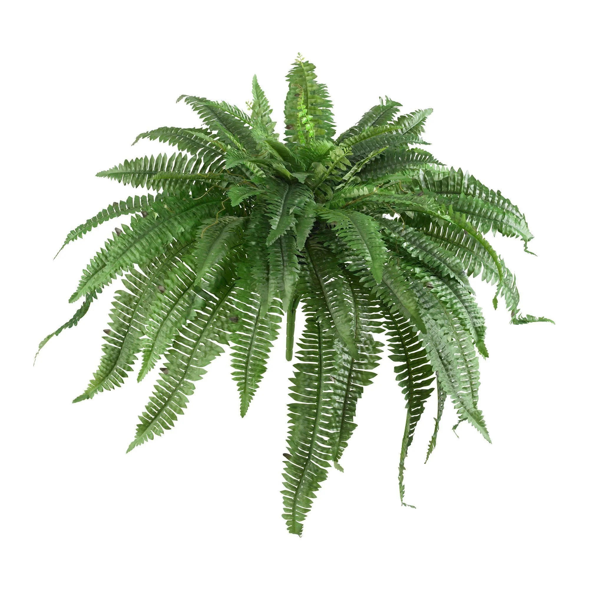48” Boston Fern (Set of 2) | Nearly Natural