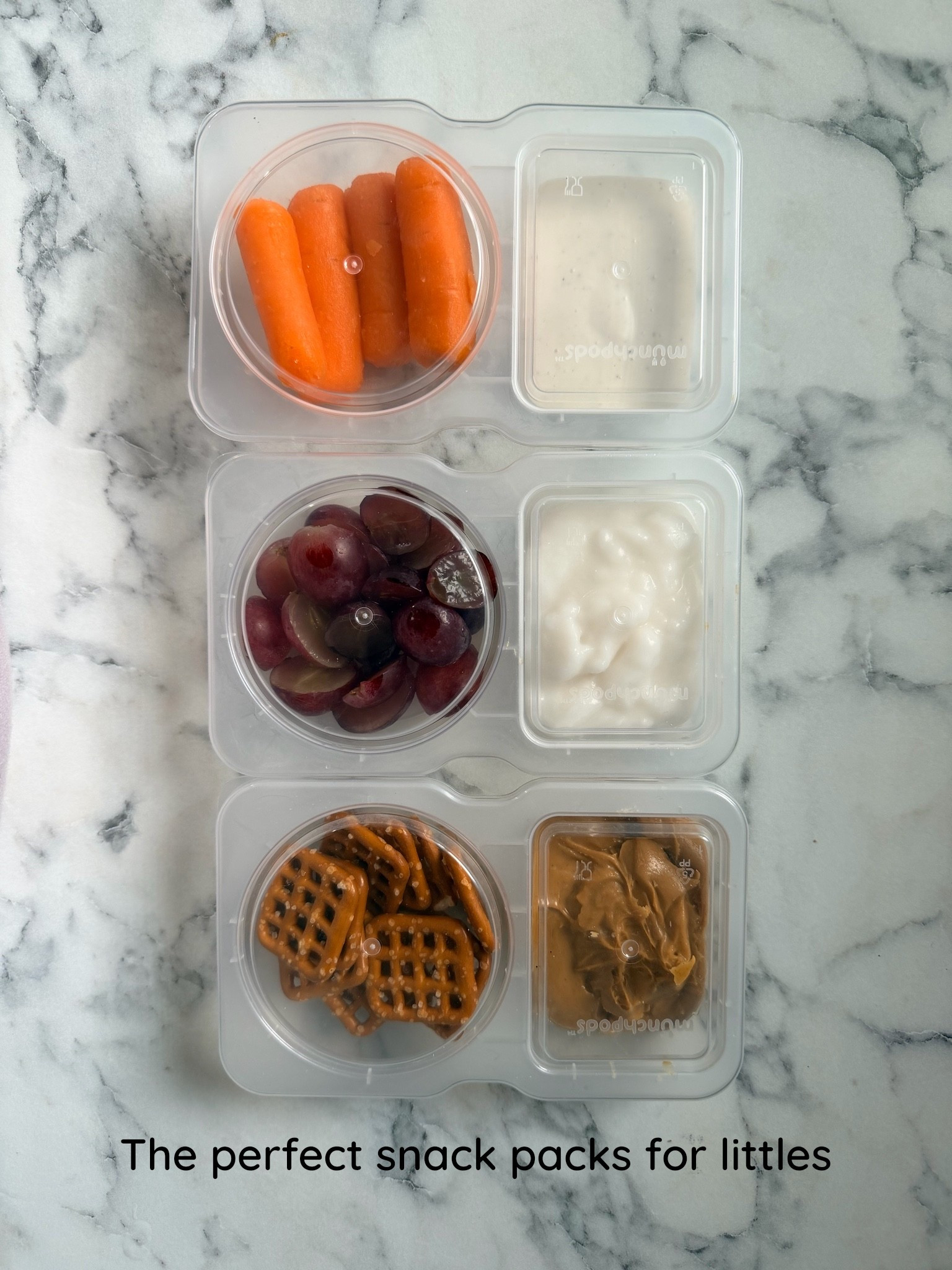 The perfect snack packs for littles. 20 for under $10!

#LTKKids #LTKfoodie #LTKBaby