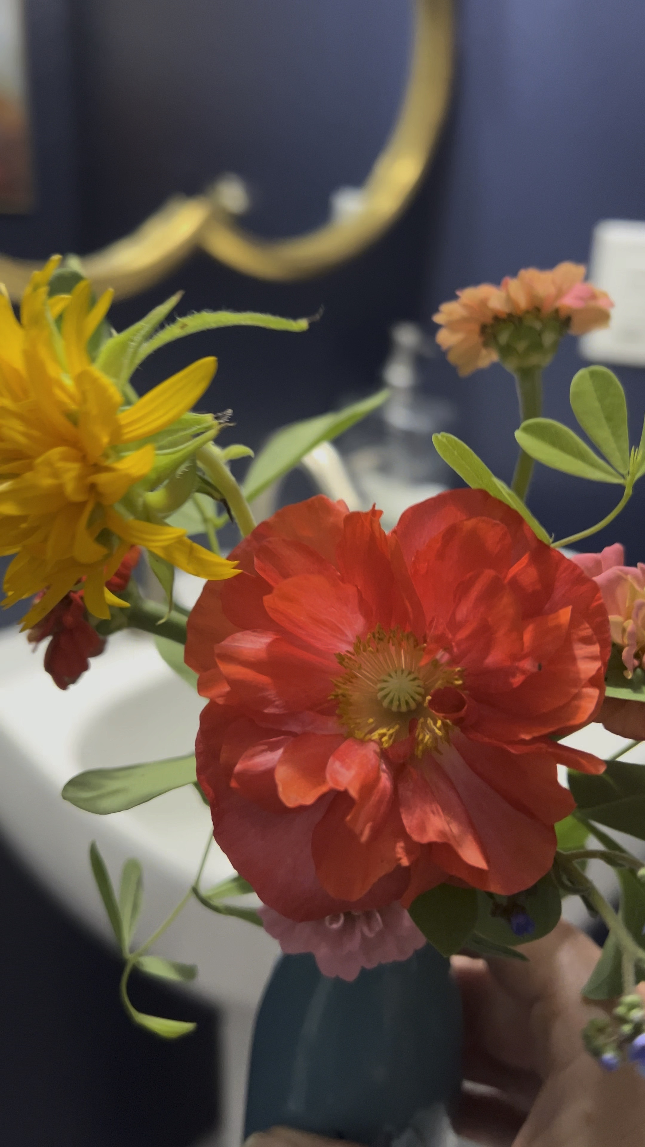 Pick flowers with me! Gardening, wicker basket, rattan basket, flower picking, gardening gloves, gardening scissors

#LTKOver40 #LTKSeasonal #LTKHome