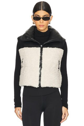 Melicia Vest in Black & Ecru | Revolve Clothing (Global)