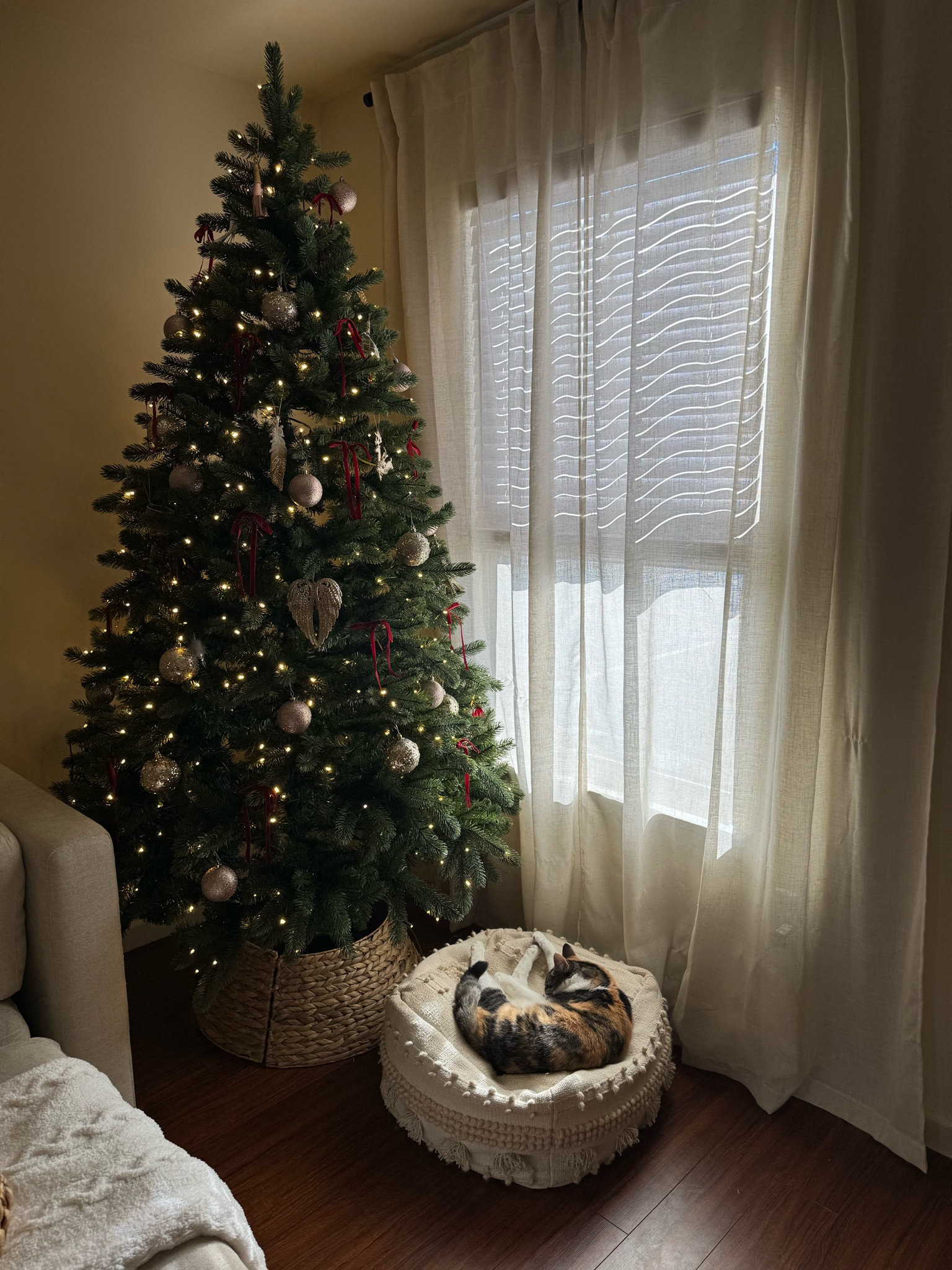 my christmas tree ♥️

#LTKHome #LTKSeasonal #LTKHoliday