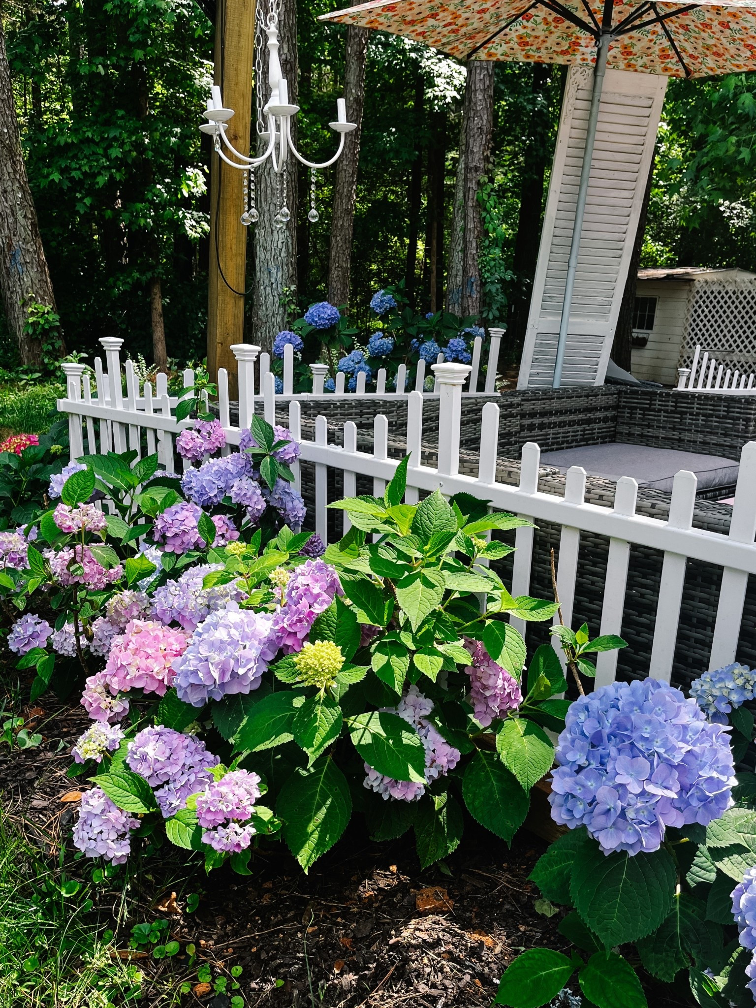 Hydrangeas = my weakness 💙
I have over 20 and keep adding more every year… I can’t help it 😅 They’re just too pretty.
Walmart has some beautiful ones at a great price right now 👀
Info in comments ⬇️

#LTKMothersDay #LTKSeasonal #LTKHome