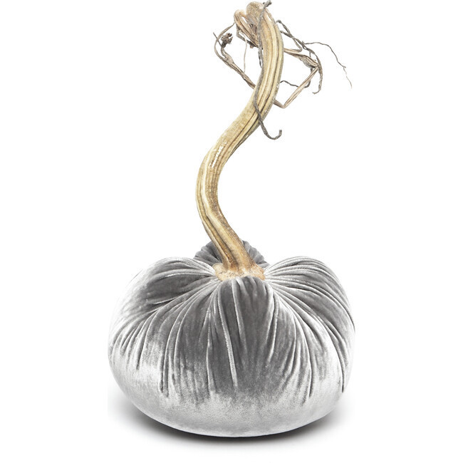 Hot Skwash | Velvet Pumpkin, | Silk (Grey, Size 5"") | Maisonette | Maisonette