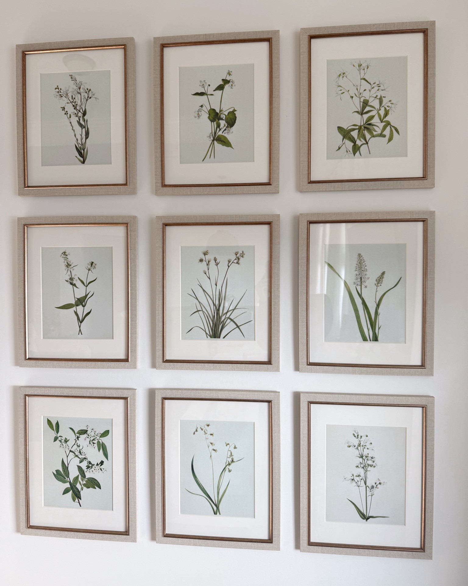 Living room wall! Prints are in matte finish from Walgreens. 🌿

#botanicalprint #wallart #etsyfinds 

#LTKHome #LTKFindsUnder50