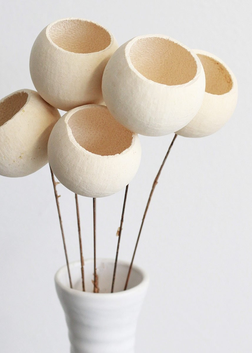 Pack of 6 Dried and Preserved Bleached Bell Cup Stems - 19.5" Tall | Afloral (US)