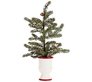 Melrose Mini Pine Tree with Ceramic Pot (Set of 2) | QVC