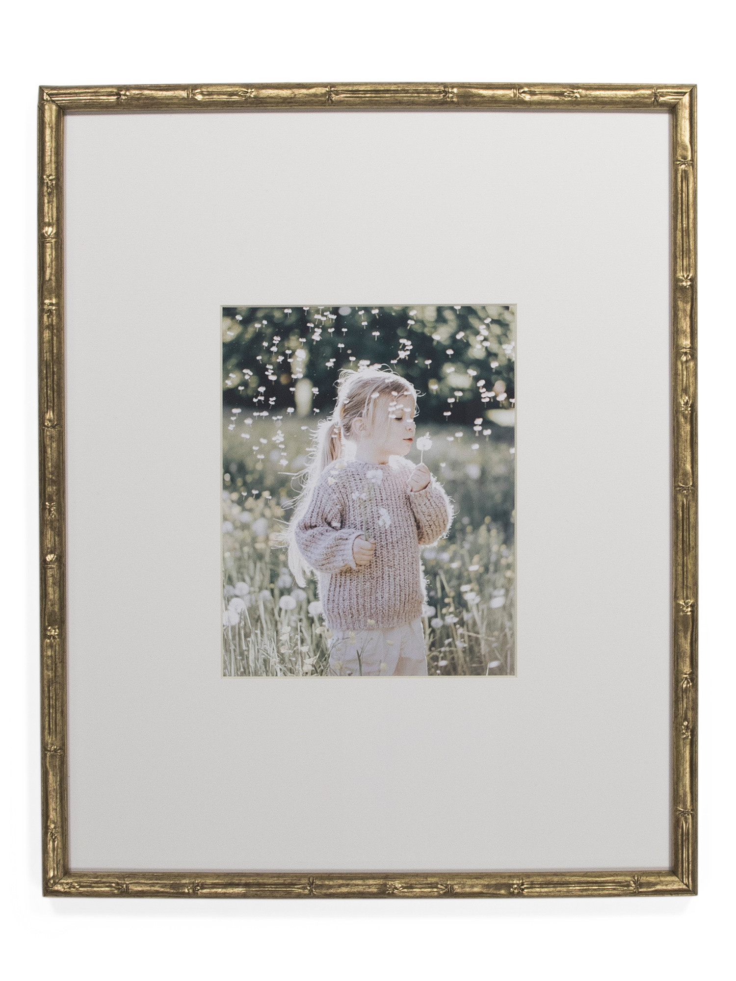 16x20 Matted To 8x10 Metal Wall Portrait Frame | TJ Maxx
