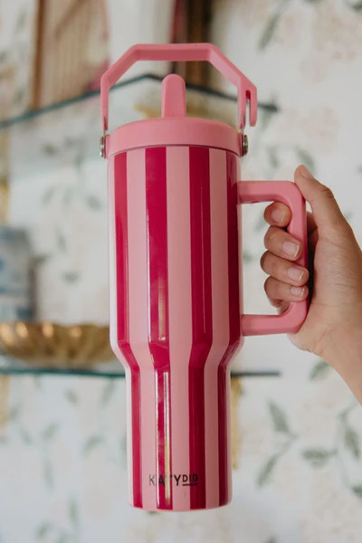 Pink and Wine Striped Stainless Steel Cabana Tumbler | Katydid