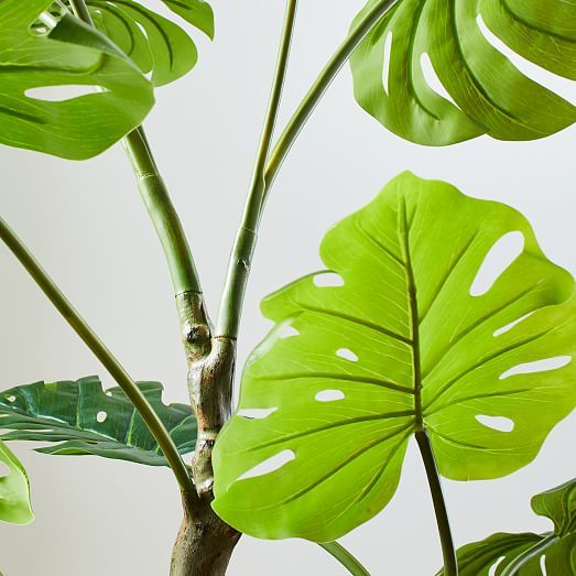 Faux Potted Monstera | West Elm (US)