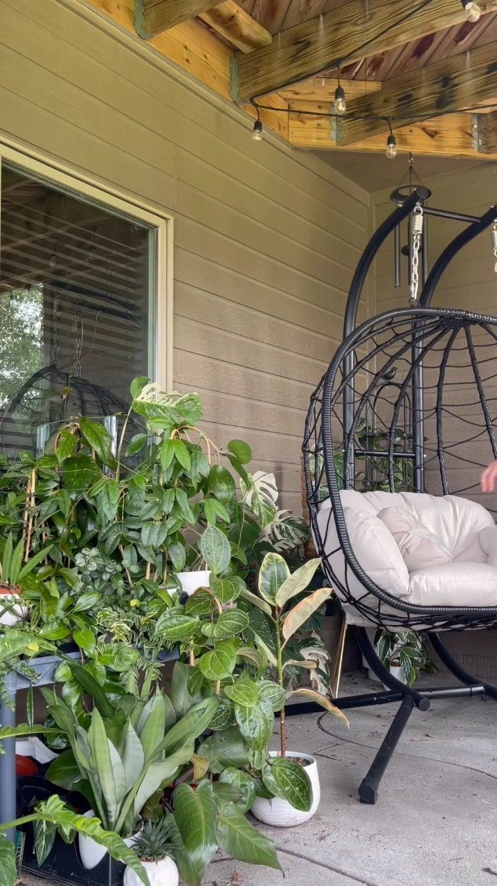 This egg chair provides the perfect spot to relax in my outdoor summer jungle. 

#LTKxNSale #LTKFamily