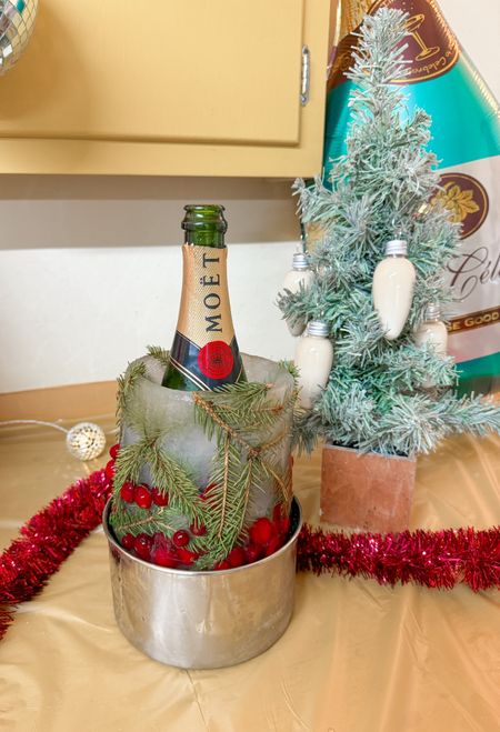 Bottle chiller mold and ornament shot glasses for holiday hosting!


#LTKSeasonal #LTKparties #LTKhome
