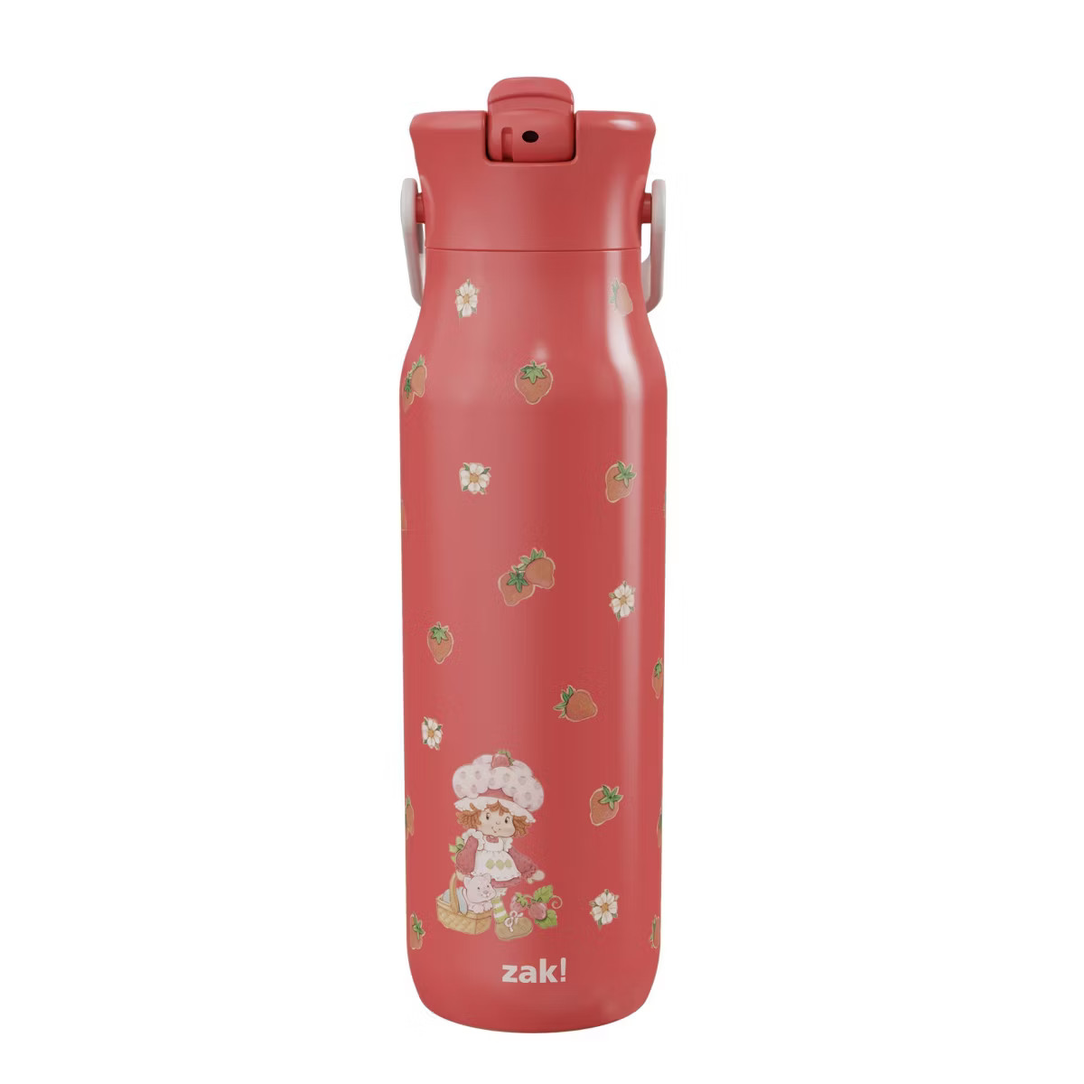 Zak Designs 32oz Stainless Steel Vacuum Insulated Water Bottle with Straw Lid | Target