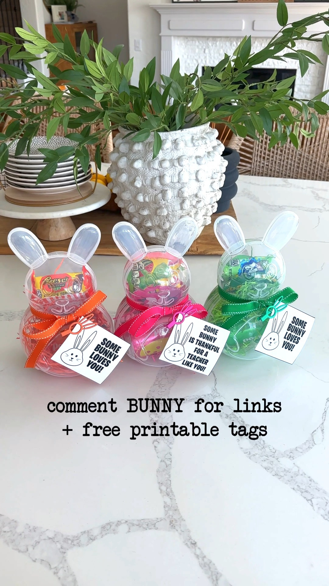 Find the free printable tags for this Easter gift at crispcollective.org
.


#LTKSeasonal #LTKKids #LTKHome
