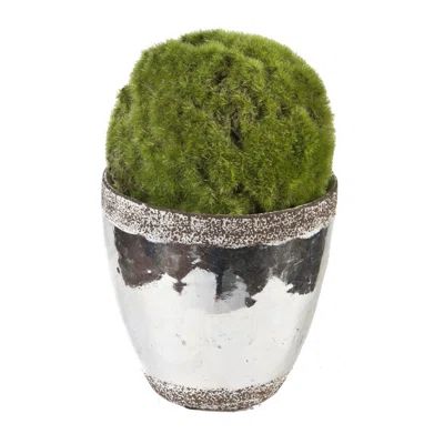 Faux Moss Ball Topiary in Ceramic Pot | Wayfair North America