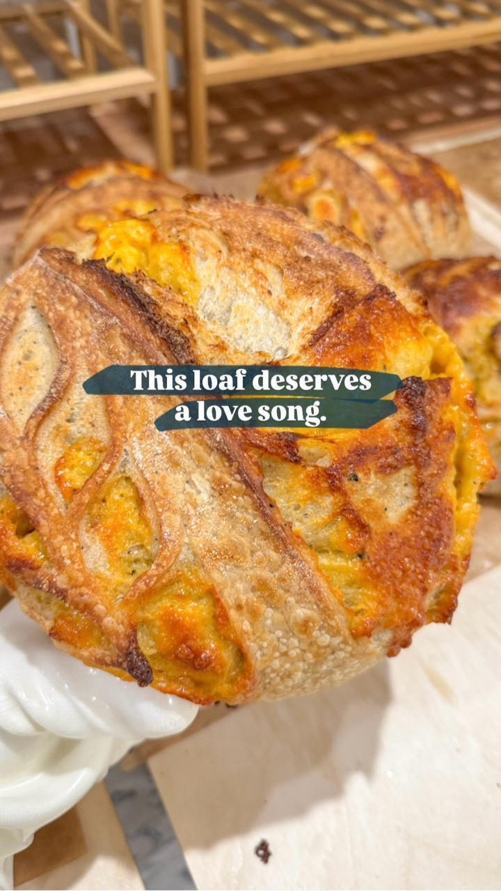 Golden hour, but make it bread 💛

This is my everything but the bagel and cheddar sourdough loaf and it’s my absolute favorite! 🤤🍞

#sourdoughmicrobakery #sourdoughcrumb #sourdoughcutting #lubbocksourdough #sourdoughlover