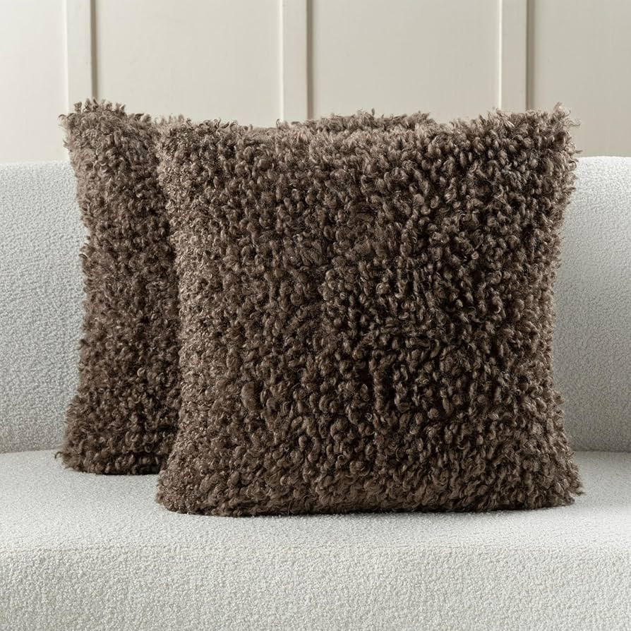 FUTEI Chocolate Decorative Throw Pillow Covers 18x18 Inch Set of 2,Soft Fluffy Faux Wool Fur Bouc... | Amazon (US)