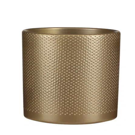 Megane Ceramic Pot Planter | Wayfair Professional