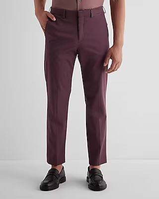 Slim Purple Cotton Stretch Suit Pant | Express
