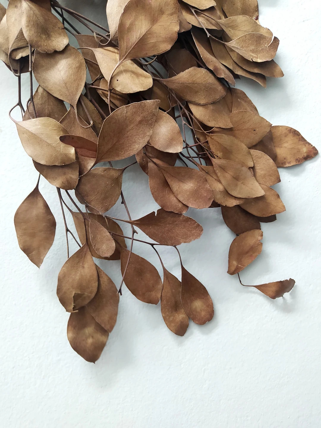 Preserved Eucalyptus Globus Natural Color Bunch - Fall Decoration - Rustic Bouquets - Wreaths - F... | Etsy (US)