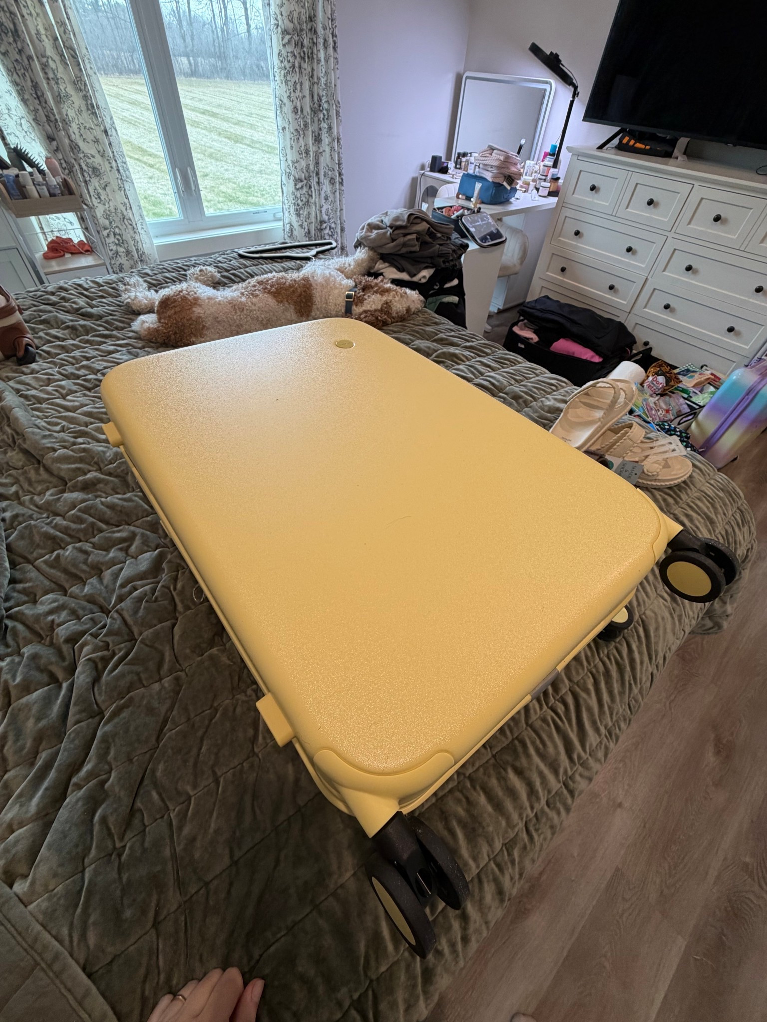 Yellow suitcase from Amazon 

#LTKmomlife #LTKTravel #LTKdayinmylife