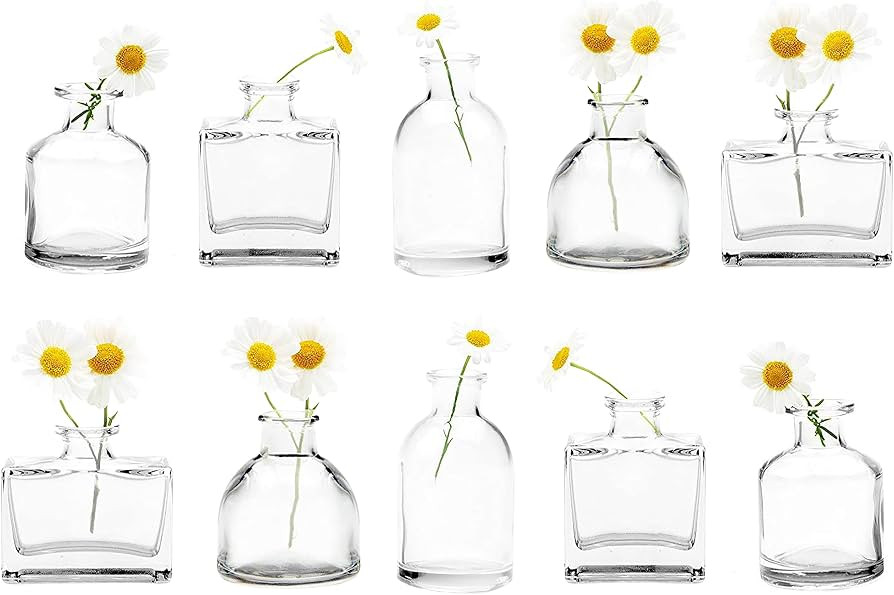 CHIVE ‘Loft’ Small Mini Flower Vases - Clear Glass Bud Vases, Set of 10 - Cute Vintage Rustic... | Amazon (US)