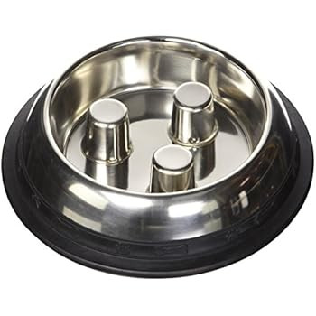 ProSelect Dog Stainless Steel Brake-Fast Slow Feed Bowl | Amazon (US)