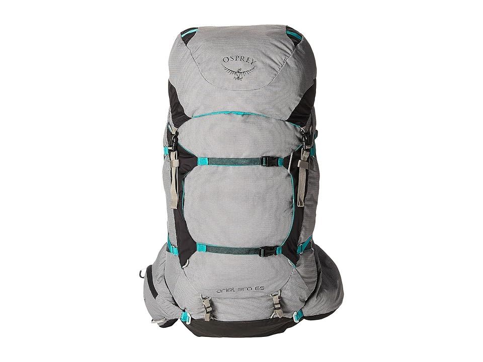 Osprey Ariel Pro 65 (Voyager Grey) Backpack Bags | Zappos