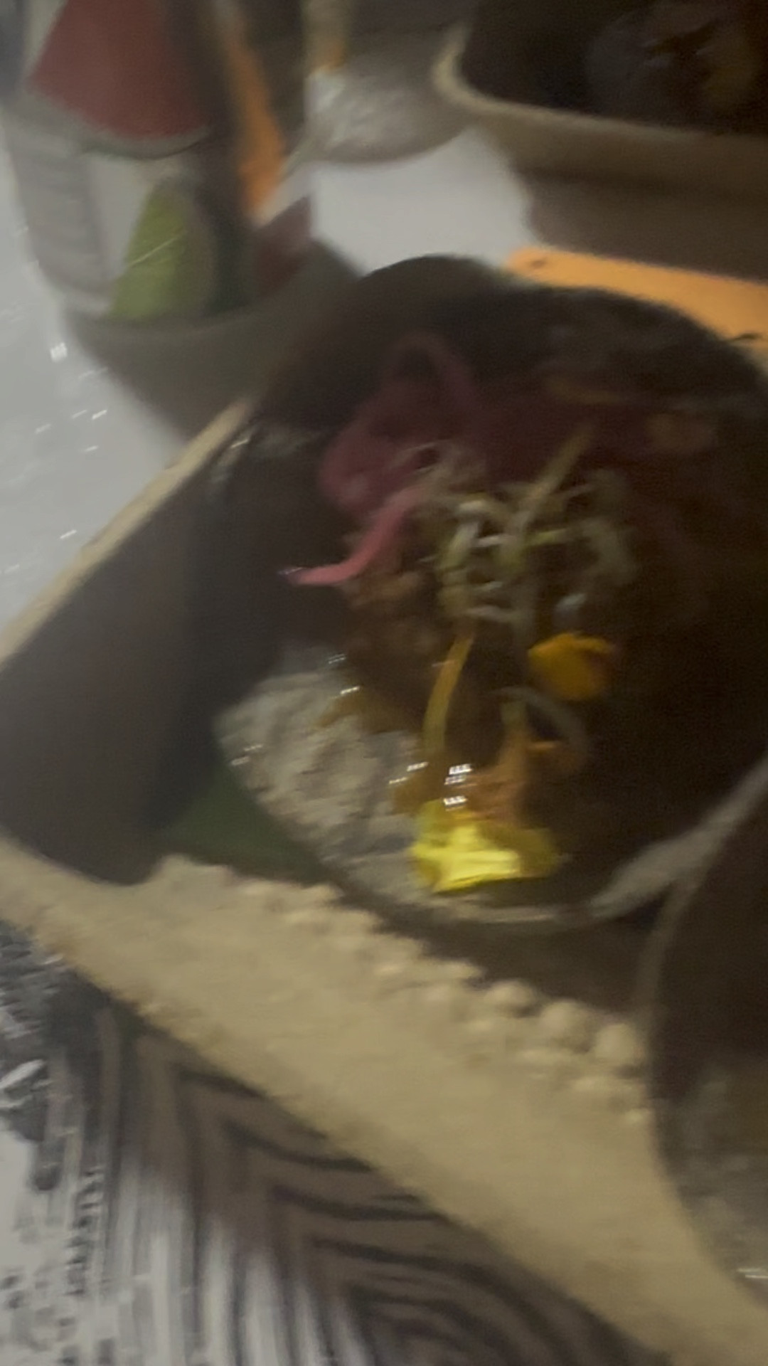 Good to have a good quality windbreaker in a rainy . So we are still able to enjoy outdoor 🌮. A windbreaker is a lightweight jacket designed to protect the wearer from wind and light rain. Made from thin, often synthetic materials, it’s usually water-resistant and has a breathable, comfortable fit for outdoor activities. Windbreakers often feature elastic cuffs, adjustable hems, and sometimes a hood, providing flexibility and protection without the bulk of heavier jackets. They’re popular for running, hiking, and casual wear, especially in mild, unpredictable weather conditions.

#LTKGiftGuide #LTKTravel #LTKHoliday