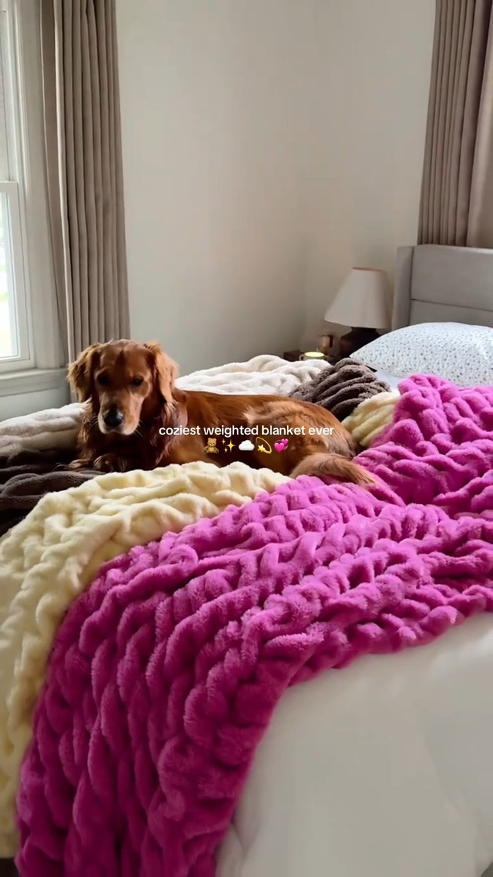 love these cozy weighted blankets from comfrt!! they are a great gift idea too ☁️ 


dreamer blanket, comfrt blanket, cozy home finds, comfrt dreamer blanket, gifts for her, weighted blanket