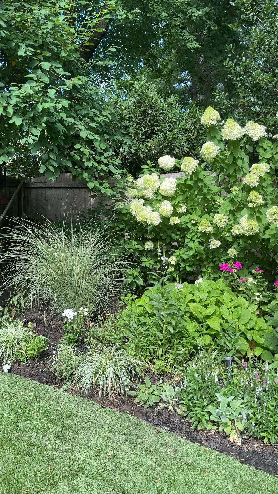 A little backyard garden tour. All of our hydrangeas are officially in bloom and have filled in so beautifully!! 

Linking all of the planters, outdoor furniture, umbrellas and accessories that we own and love. So many are on sale right now!!

#LTKvlog #LTKSeasonal #LTKHome