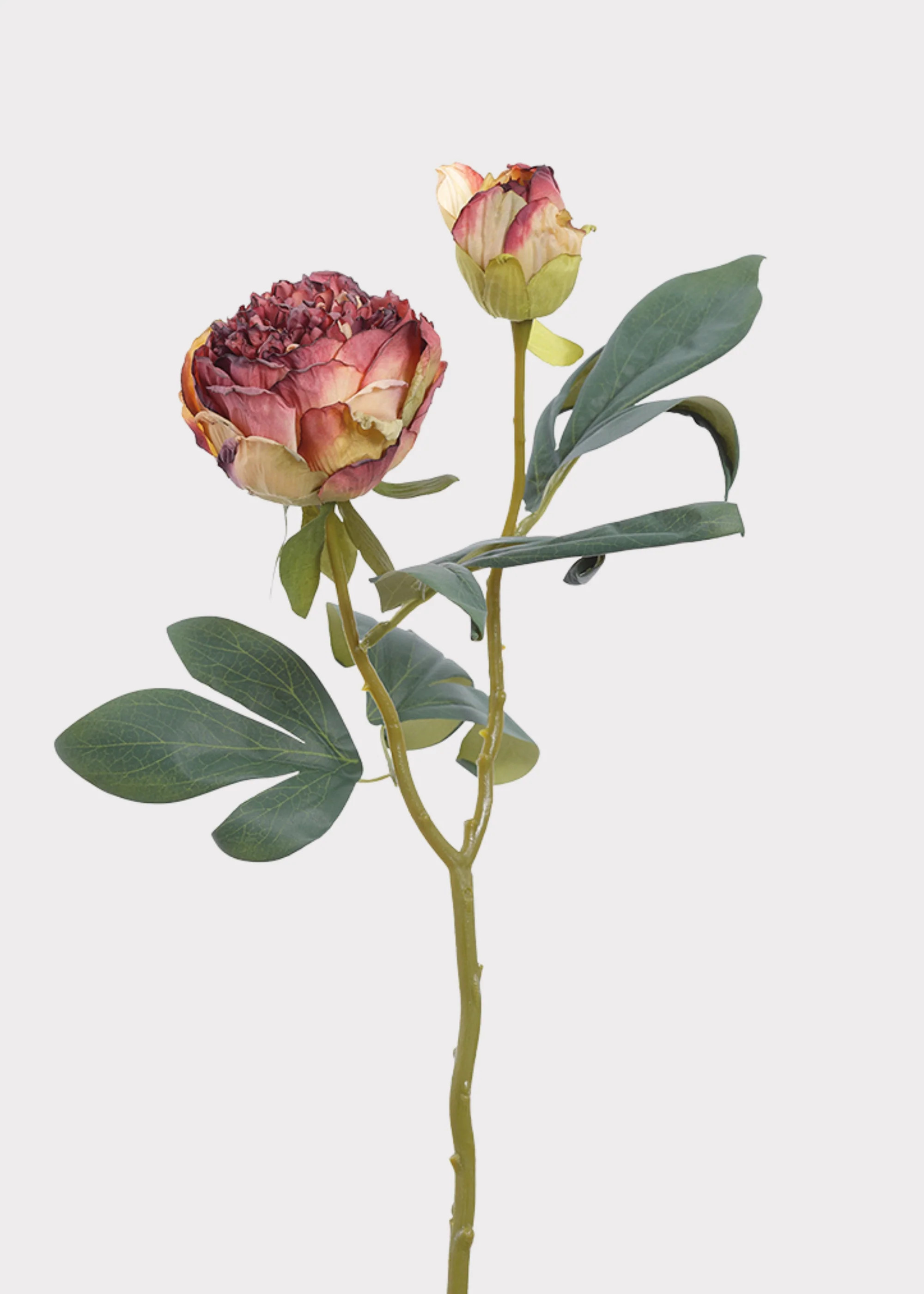 Burgundy Peony with Dried Look | Best Faux Flowers | Afloral | Afloral
