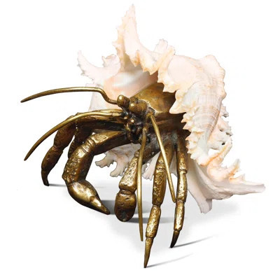 Ramosus Shell Sculpture | Wayfair North America