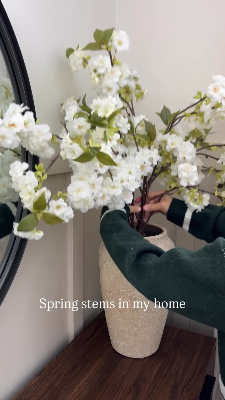 A few favorite faux stems styled around my home for spring!

#LTKHome #LTKSeasonal #LTKSaleAlert