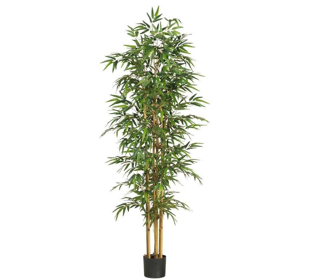 Faux Bamboo Silk Tree, 75&amp;quot; | Pottery Barn (US)
